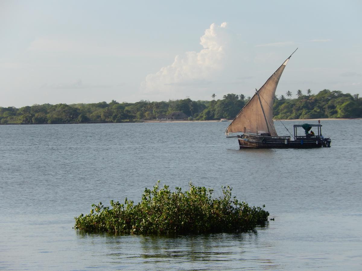 Blue Monkey Beach Cottages Shimoni Eksteriør bilde