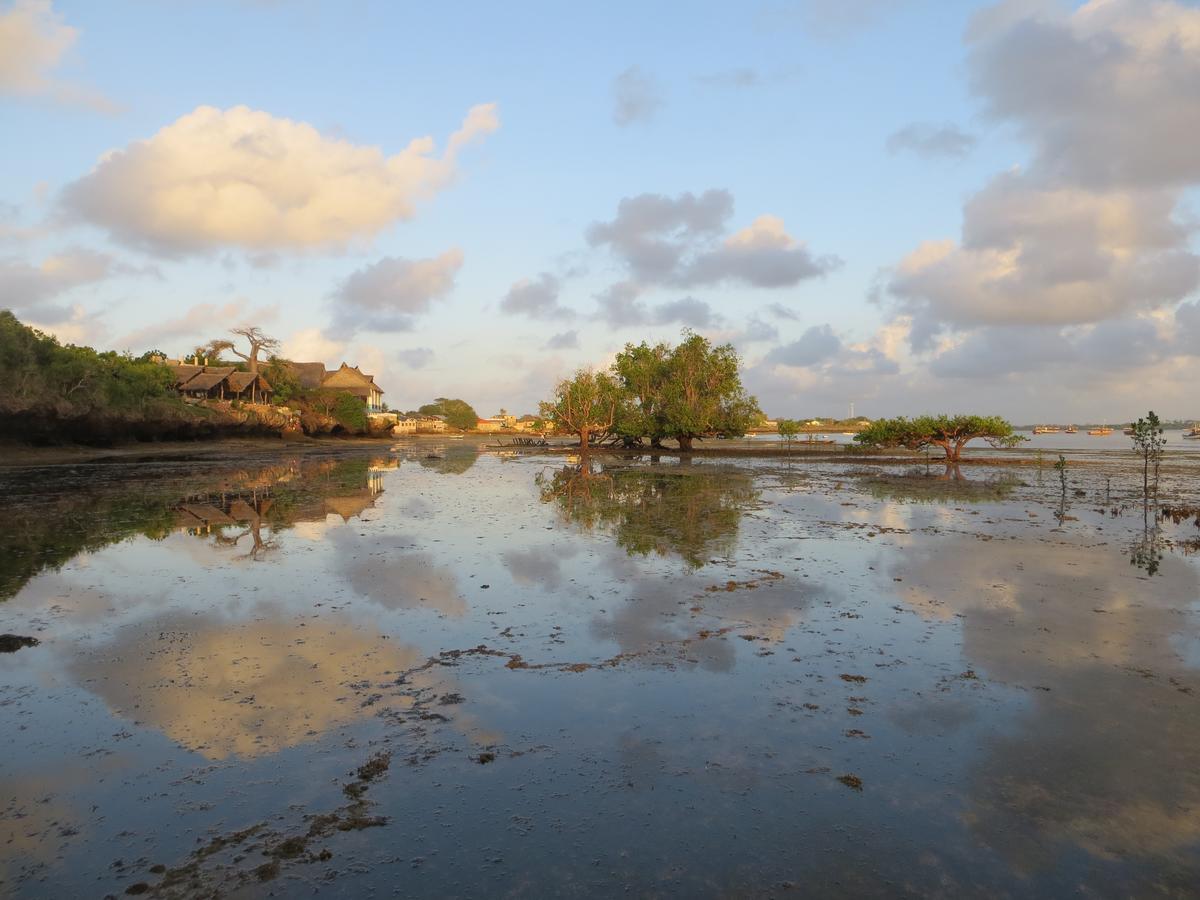 Blue Monkey Beach Cottages Shimoni Eksteriør bilde