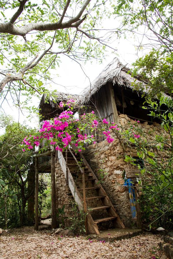 Blue Monkey Beach Cottages Shimoni Eksteriør bilde